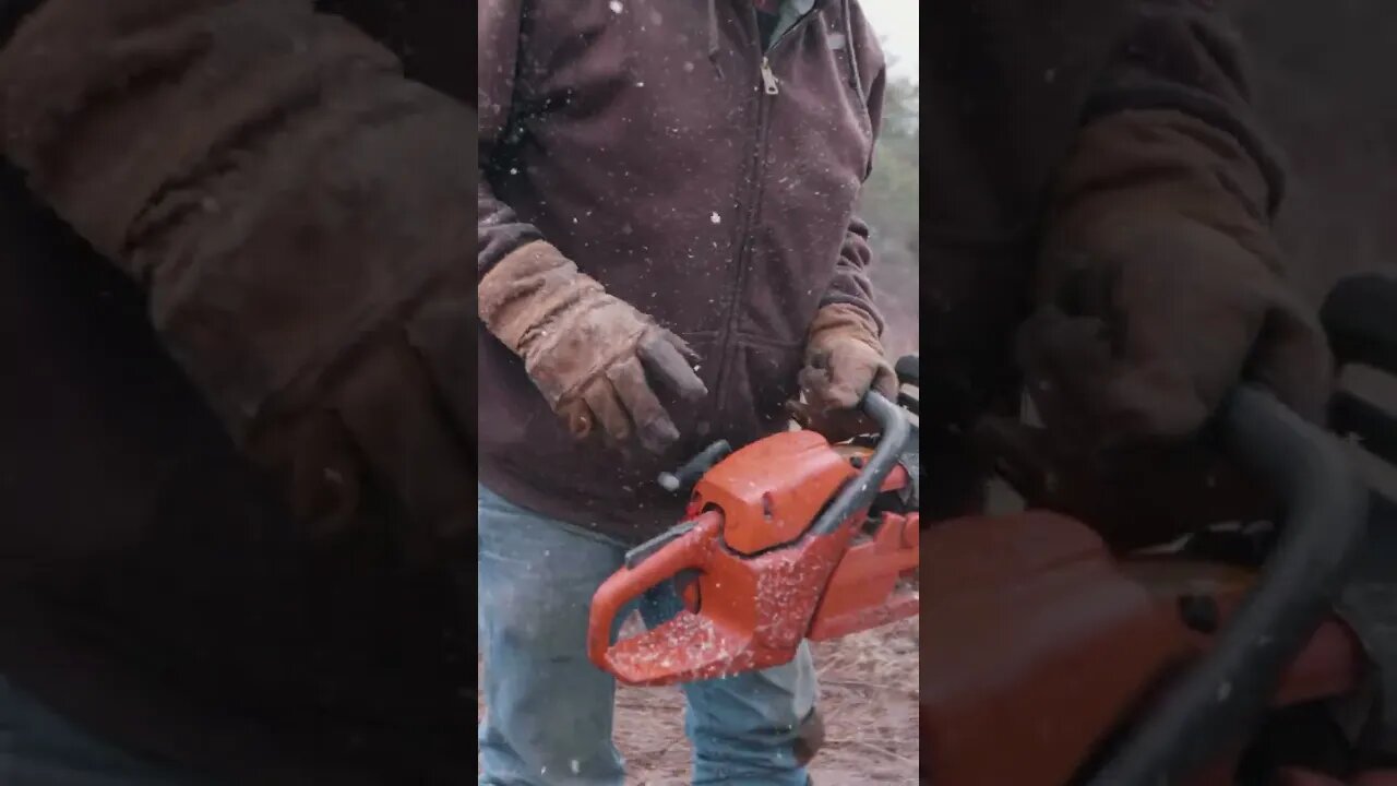Fencing On The Homestead! #shorts #homesteading