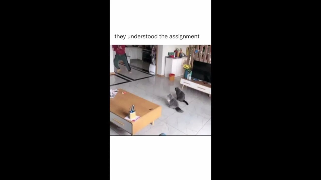 Ka-me-ha-me-HA!!!