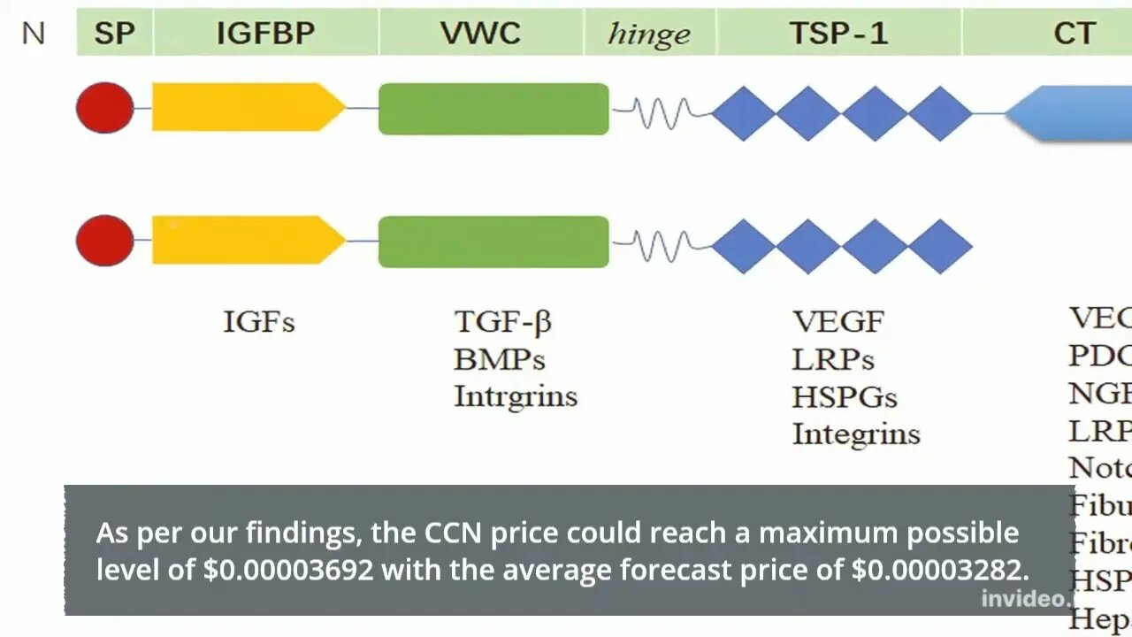 CustomContractNetwork Price Prediction 2022, 2025, 2030 CCN Cryptocurrency Price Prediction