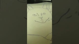 Using Tracing Paper To Transfer My Cat Drawing