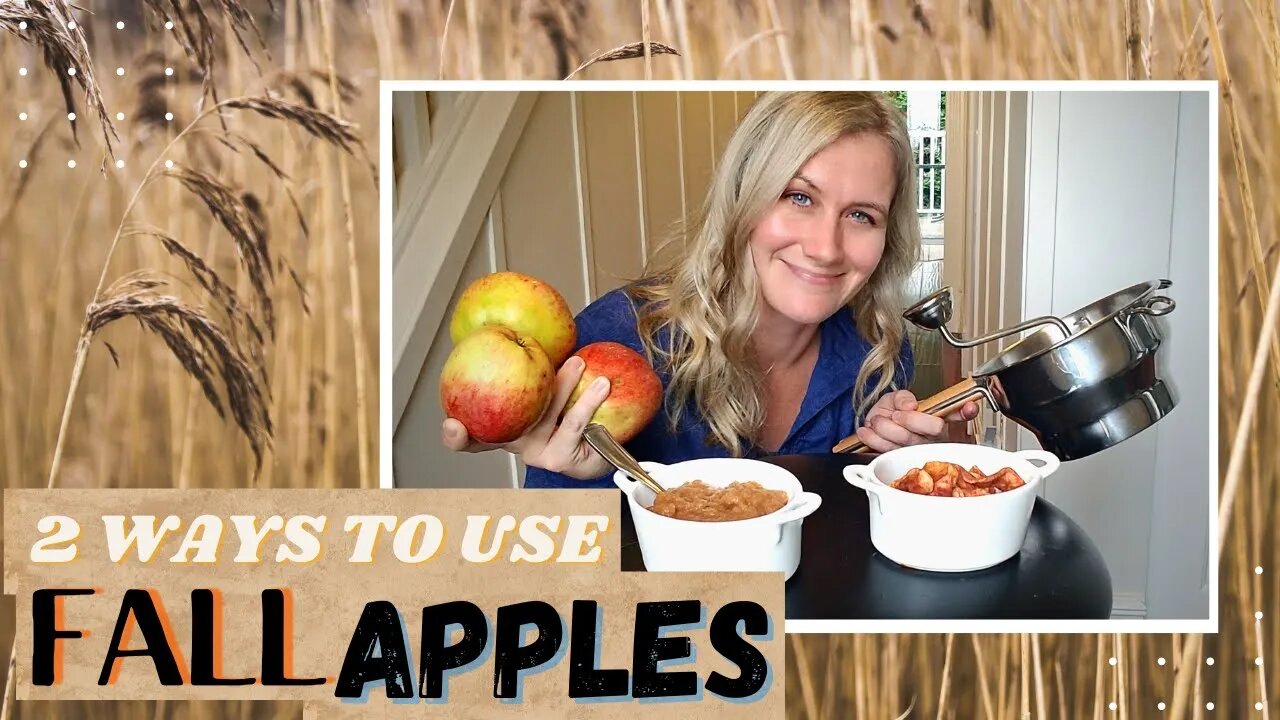 How to make Applesauce at home | Dehydrated Cinnamon Apples | Unsweetened Apple Sauce