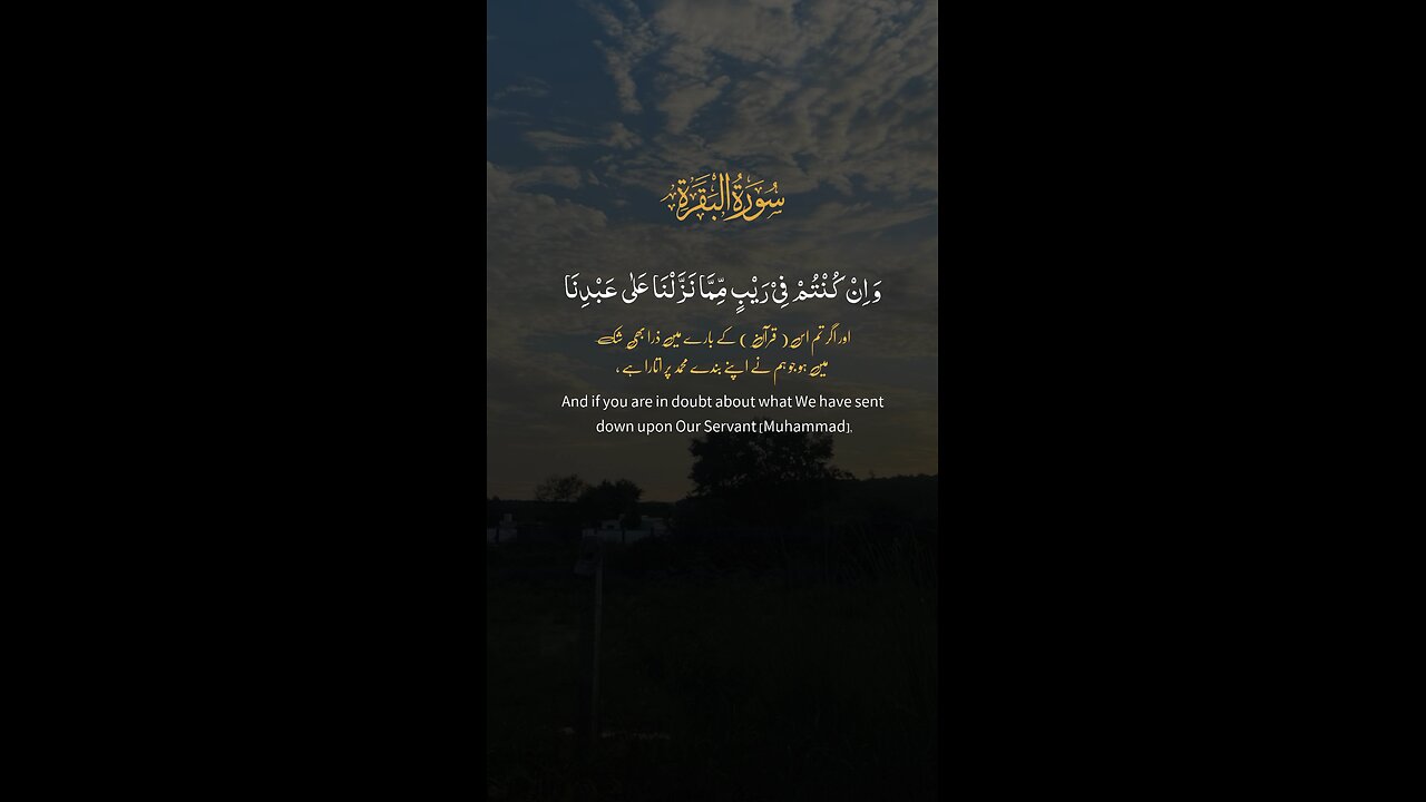 Surah Baqrah | Urdu English Translation Of Quran | Sakoon #surahbaqrah #quran #sakoon #islamic_vide