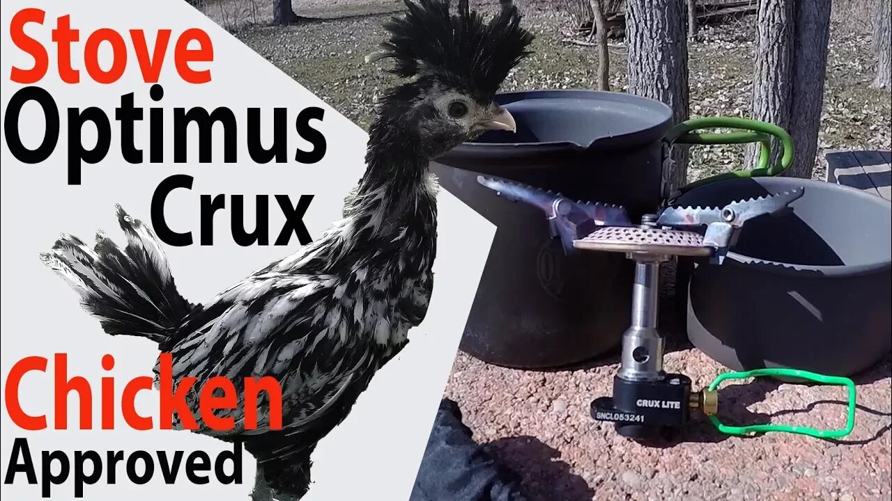 Optimus Crux Backpacking Camp Stove Review (With a Chicken?)