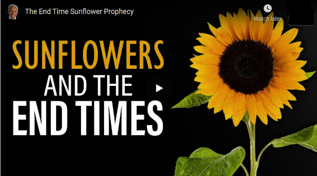 End Time Sunflower Prophecy with Sid Roth 14 July 2021