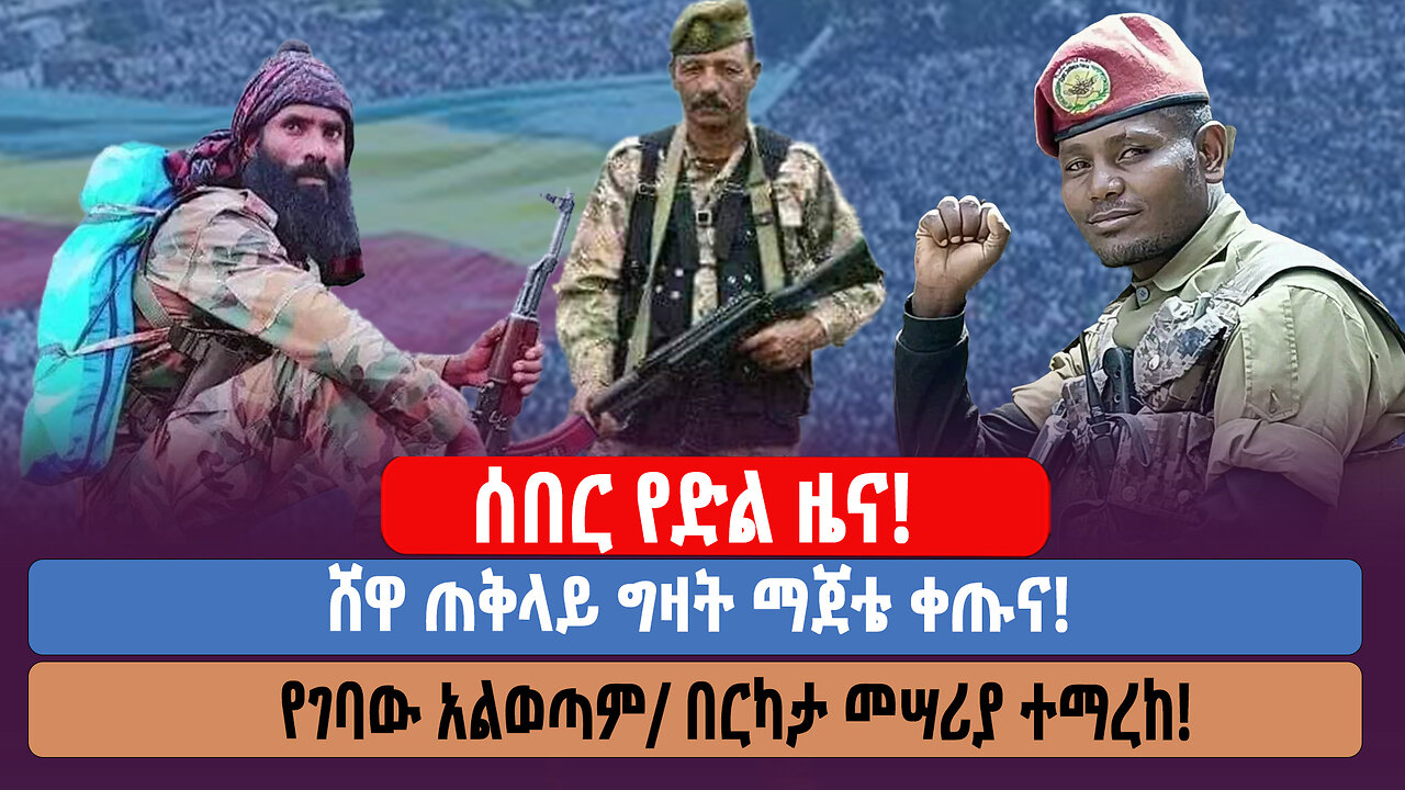 ሰበር የድል ዜና ሸዋ ጠቅላይ ግዛት ማጀቴ ቀጡና! የገባው አልወጣም/ በርካታ መሣሪያ ተማረከ!