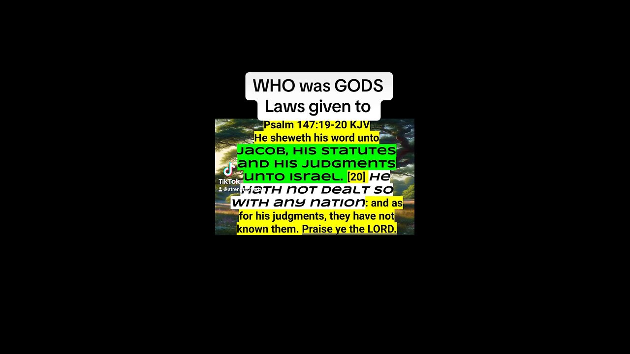 Who is God‘s law given to? 