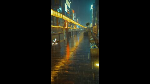 Japan city walk – environmental