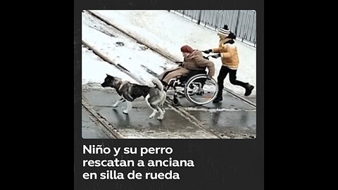 Niño ayuda con su perro a una anciana en silla de ruedas atascada en vías de tranvía