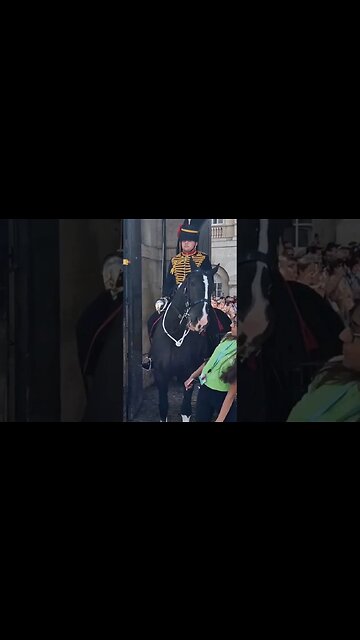 Get away from the horse #horseguardsparade