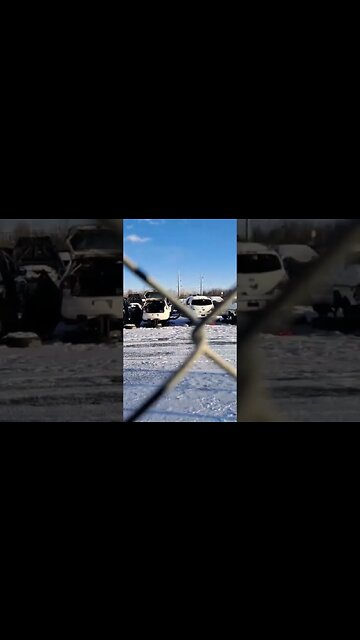 2 dollars separate us and the peasants#entertainment #shorts #shortvideo