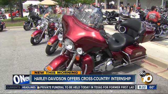 Harley Davidson Internship