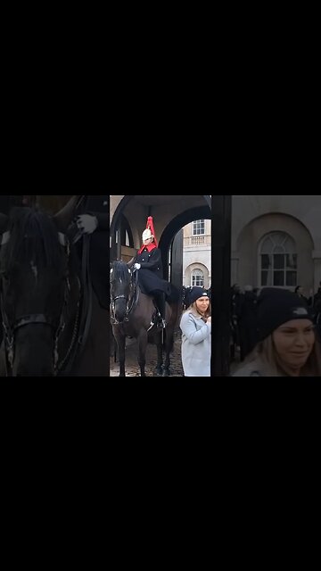 The look of shock on this tourist face Get off the Reins #horseguardsparade