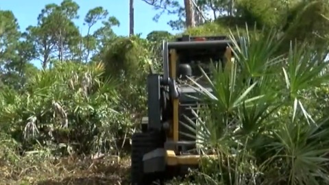 Florida Forest Service prepares for wildfire season