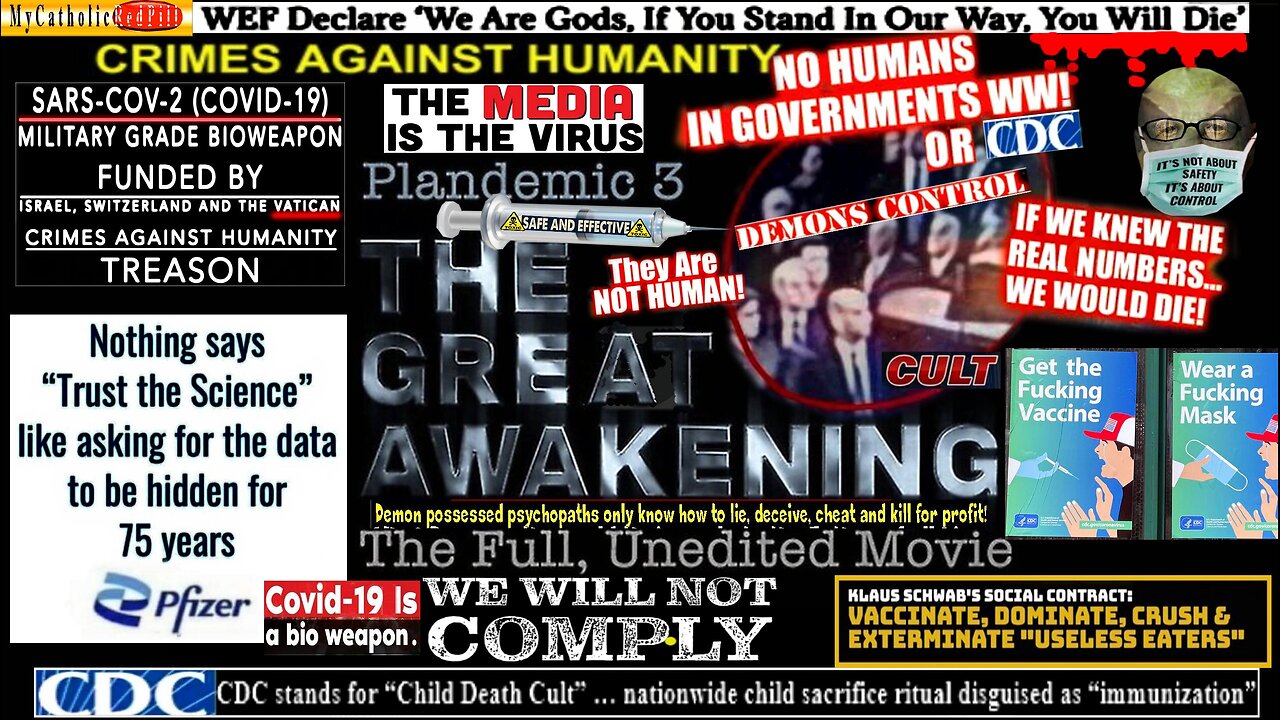 PLANDEMIC 3, THE GREAT AWAKENING. WHAT DO WE DO NEXT? [re-post] see links in description