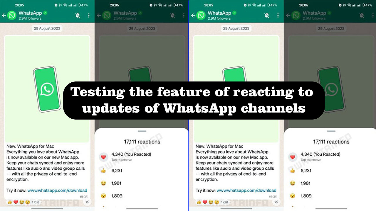 Testing the feature of reacting to updates of WhatsApp channels @InterestingStranger