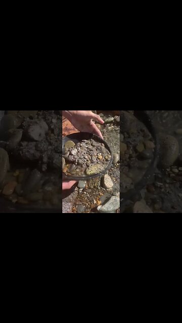 Is the gold here coming from the sea or this creek?