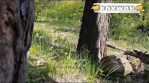 ‼️🇷🇺Группировка 🅾️/Реальный бой спецназа и уничтожение украинских боевиков на Лиманском направлении