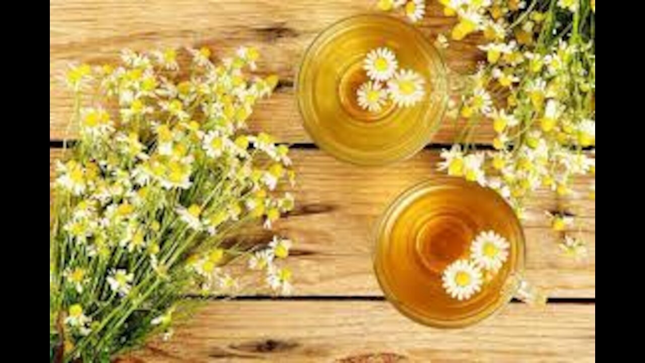 Chamomile lover