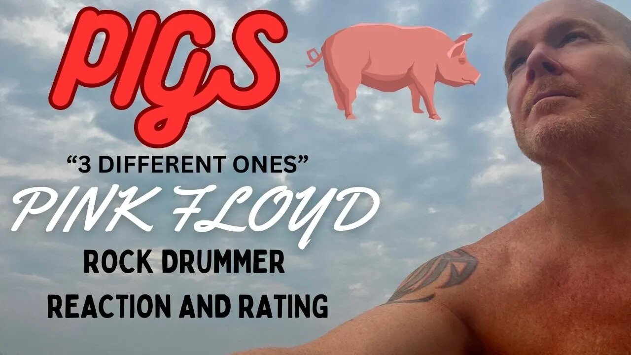 Pigs, Pink Floyd - Reaction and Rating
