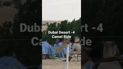 Final Desert-4 Camel Ride