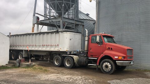 Loading Corn Haul to Grain Elevator pt 2