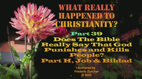 Fred Zurcher on What Really Happened to Christianity pt39