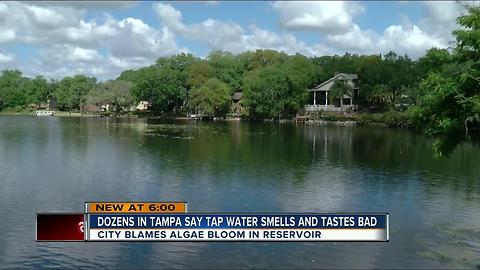 Tampa residents complain of foul-tasting and stinky tap water
