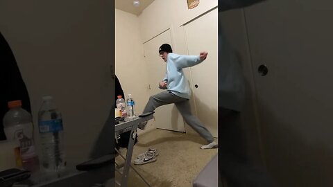 penguin slide