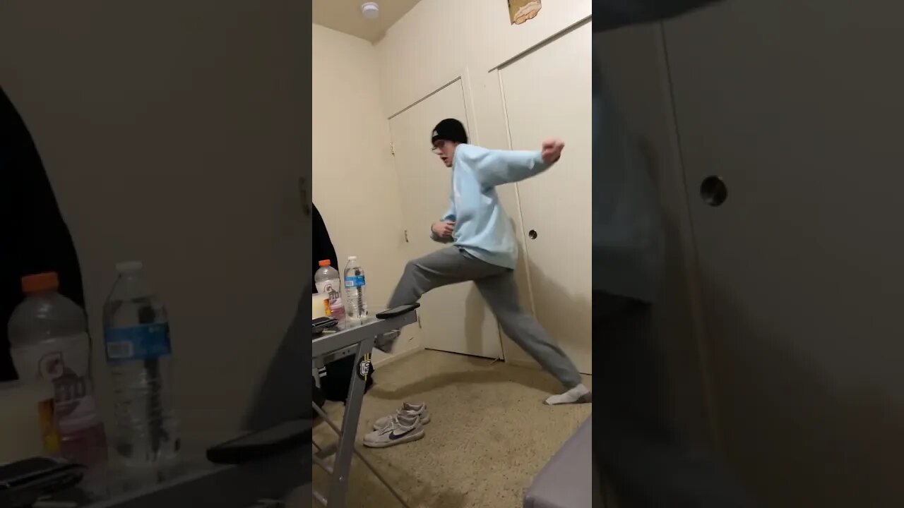 penguin slide