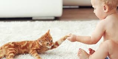 Child playing the cat