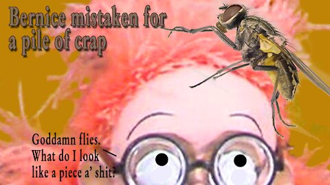 Little Turds of Wisdom: Episode 81