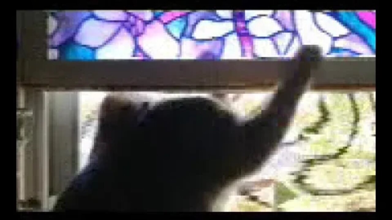 Who forgot to close the window again?