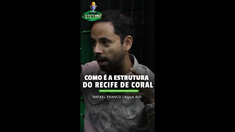COMO É O RECIFE DE CORAL? | CORTES PAPO EKO | #007 #cortes