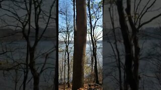 Palisades Park Greenway (11.2022)
