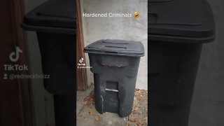 There are criminals on the loose!