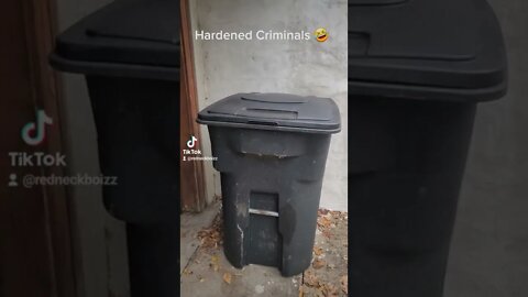 There are criminals on the loose!
