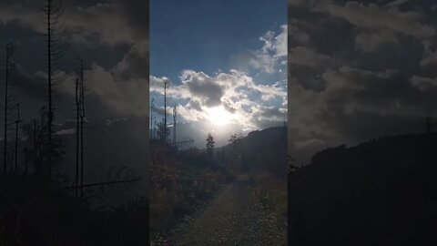 #shorts #walking #harz https://harzlichwandern.wordpress.com/