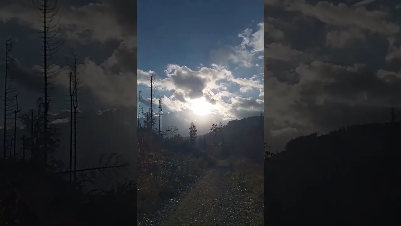 #shorts #walking #harz https://harzlichwandern.wordpress.com/