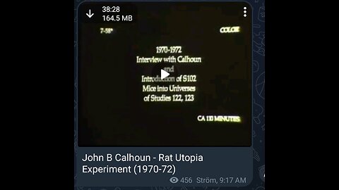 Documentary: Rat Utopia Experiment