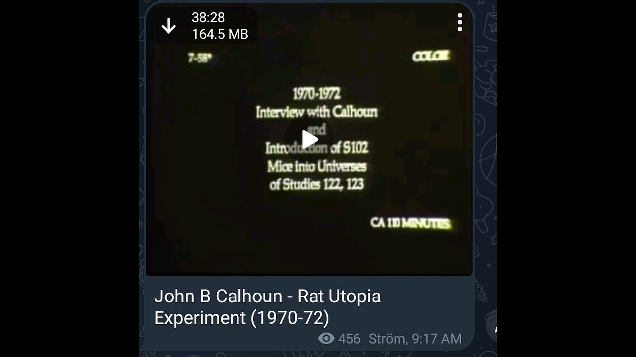 Documentary: Rat Utopia Experiment