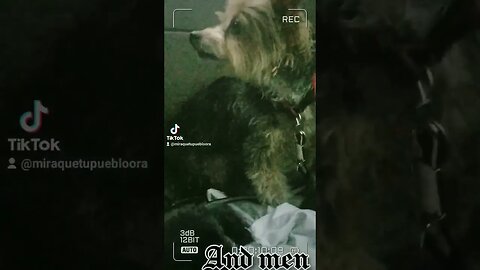 ❤