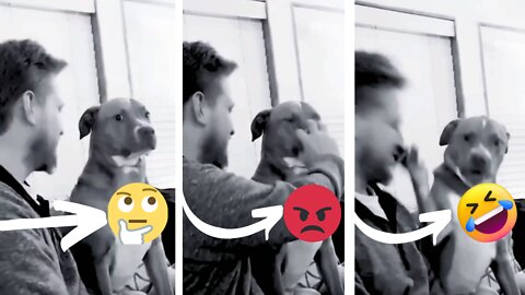 Don’t stop a smartest dog😆🤣😂