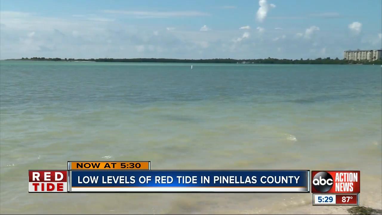 FWC: Very low level of red tide detected in Pinellas County