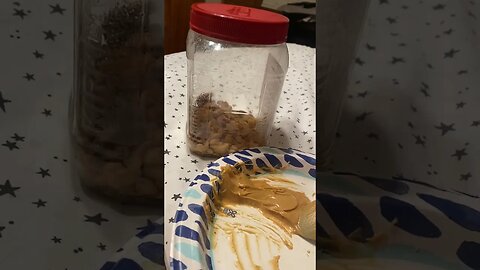 Peanut Butter