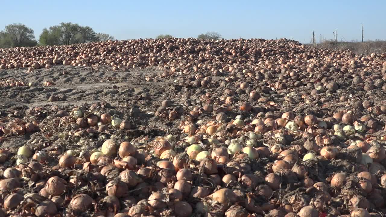 COVID-19's impact to the economy is hurting Idaho farmers