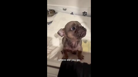 Do you like me?