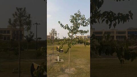 Beautiful mosque is under construction