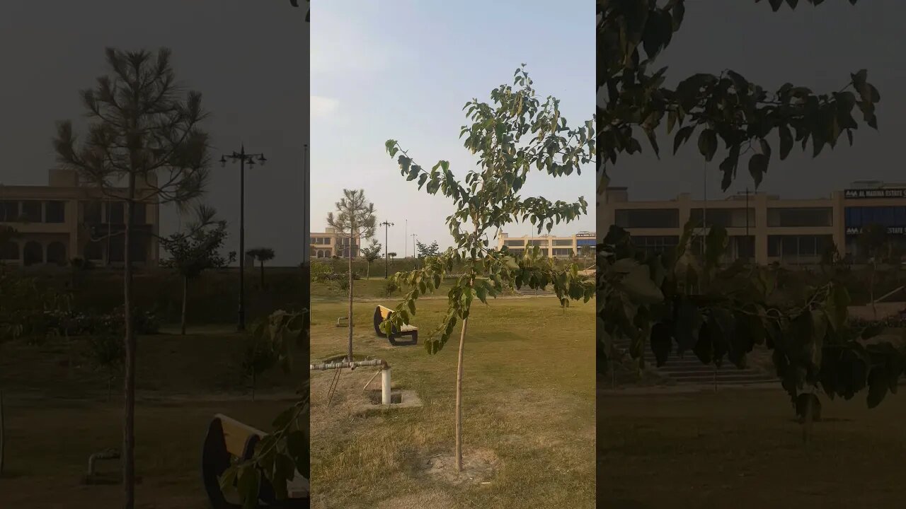 Beautiful mosque is under construction