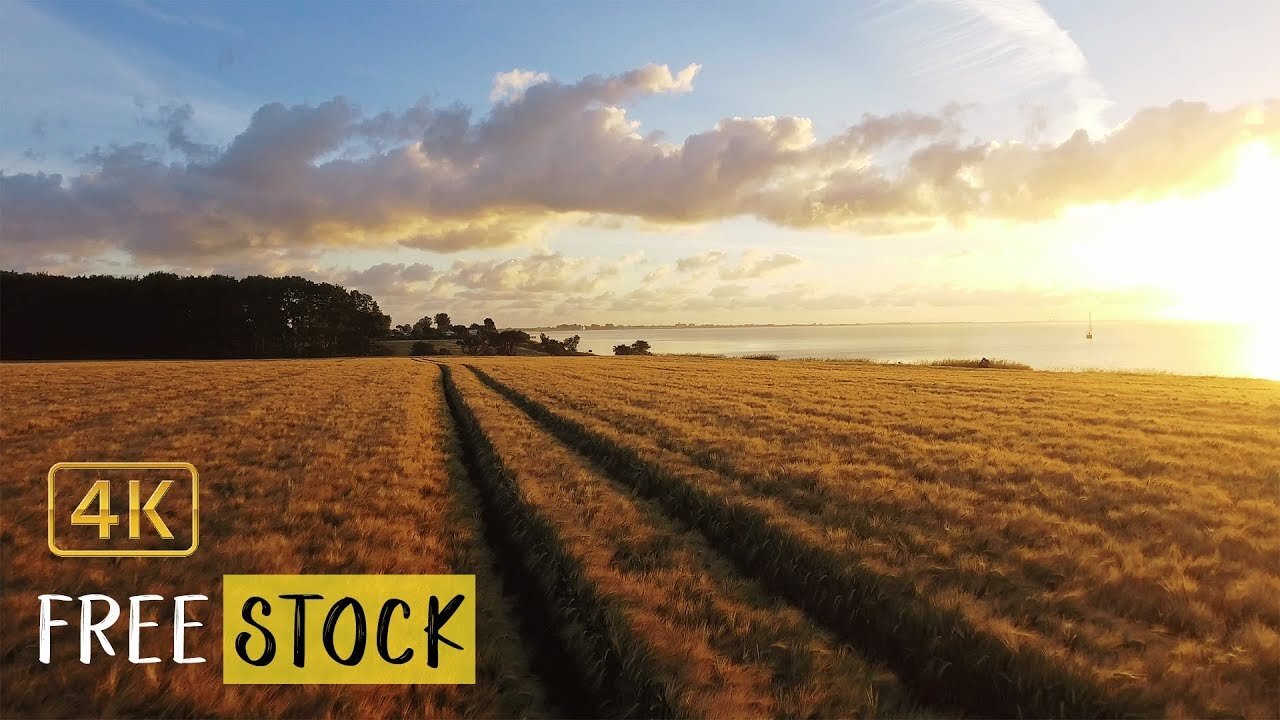 Exploring Nature's Canvas in Agricultural Meadows