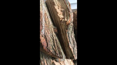 Matching set holsters